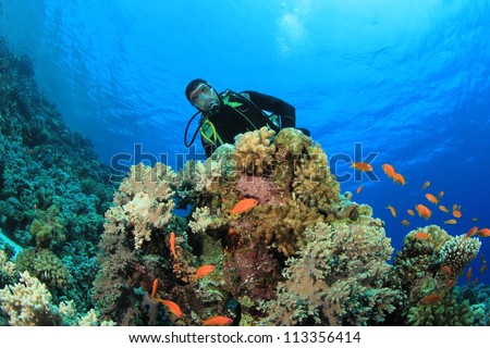 Scuba Diving on a coral reef with tropical fish