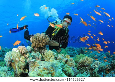 Scuba Diver swims through tropical fish on coral reef