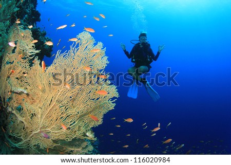 Female Scuba Diver exploring coral reef underwater
