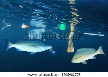 Plastic pollution and fish in ocean