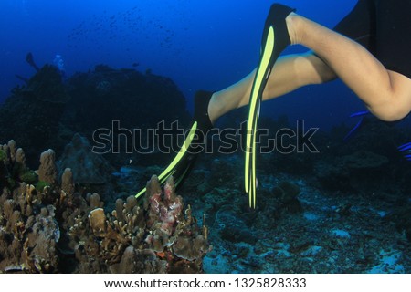 Environmental damage - scuba diver with poor buoyancy control kicks and damages coral