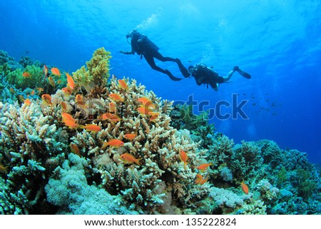 Scuba Divers underwater exploring coral reef in ocean
