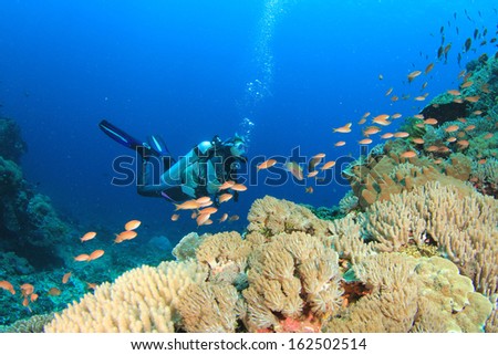 Scuba Diving On Coral Reef With Tropical Fish