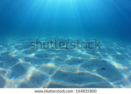 Underwater Ocean Floor Background