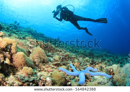 Scuba Diver and coral reef with starfish