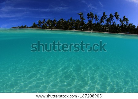 Tropical Island Paradise: Crystal Clear water on sandy beach with palms in background