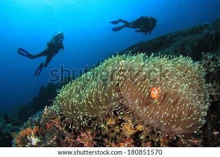 Scuba Diving on coral reef with Anemone and Nemo Fish