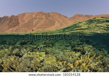 Half and Half Split Image of Reef and Desert Mountains, Red Sea