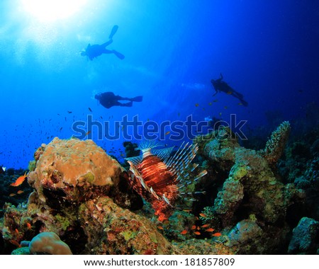 Scuba Diving on coral reef with fish underwater