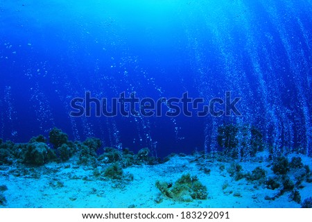 Bubbles rise from the sea bed