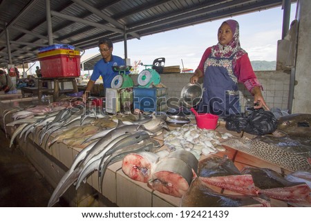 KOTA KINABALU, MALAYSIA - MAY 12 2014: Sharks at fish market. Environmental problem of trade in endangered species including Hammerhead Shark killed illegally for their fins.