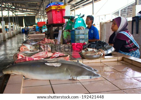 KOTA KINABALU, MALAYSIA - MAY 12 2014: Sharks at fish market. Environmental problem of trade in endangered species including Hammerhead Shark killed illegally for their fins.