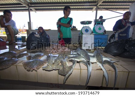 KOTA KINABALU, MALAYSIA - MAY 17 2014: Sharks at fish market. Environmental problem of trade in endangered species including Hammerhead Shark killed illegally for their fins.