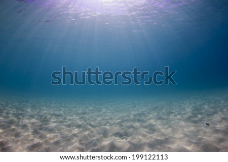 Underwater Ocean background