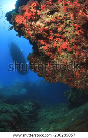 Underwater reef and scuba diving boat
