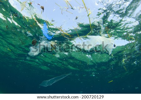 Environmental problem: Plastic bag pollution in ocean