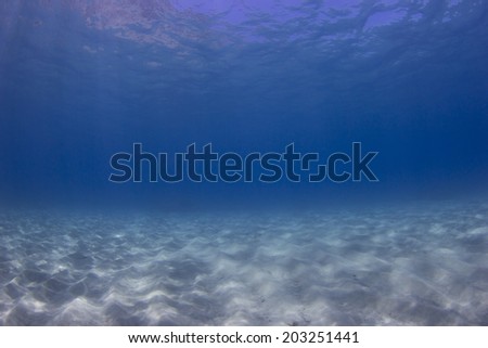Underwater ocean background blue sea