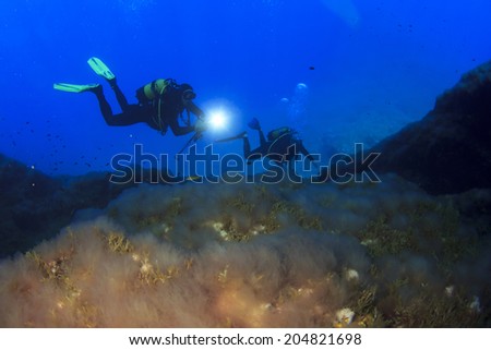 Scuba Diving in Ocean