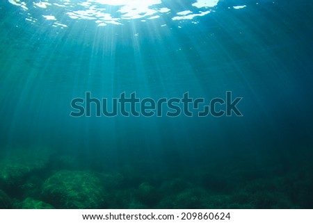 Underwater Ocean Background Photo