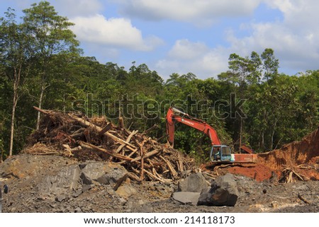 KUCHING, MALAYSIA - APRIL 27 2014: Deforestation. Photo of tropical rainforest in Borneo being destroyed to make way for oil palm plantation.