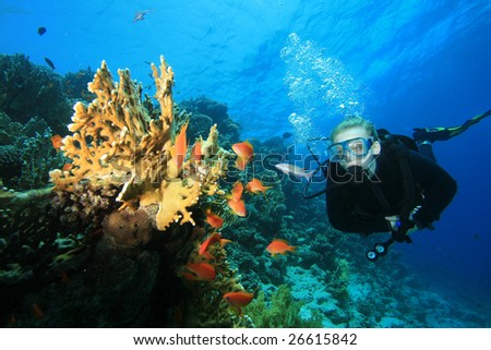 Female Scuba Diver observes tropical fish and coral
