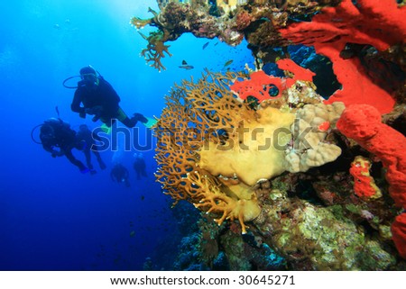Diver silhouettes behind Fire Coral