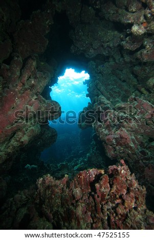 coral caverns