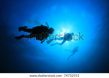 Scuba Divers silhouettes against sun in blue water