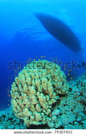 Diving Boat moored over Coral reef in Tropical Seas