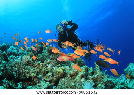 Scuba Diver swims over Coral Reef with Tropical Fish