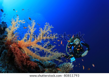 Young Woman Scuba Diving Instructor exploring a Coral Reef in the Red Sea