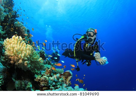 Scuba Diver and Coral Reef with Tropical Fish in the Red Sea