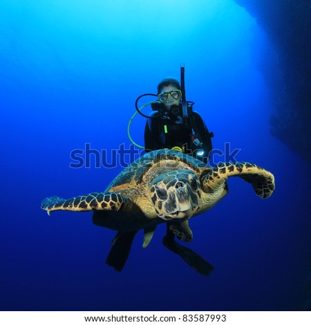 Sea Turtle and young woman scuba diver