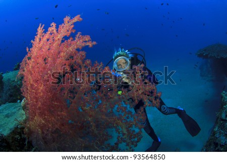 Young woman underwater photographer scuba dives in the Red Sea