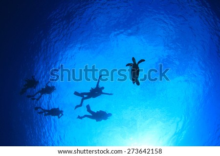 Silhouette scuba divers and sea turtle underwater with sun