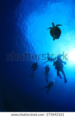 Silhouette scuba divers and sea turtle underwater with sun