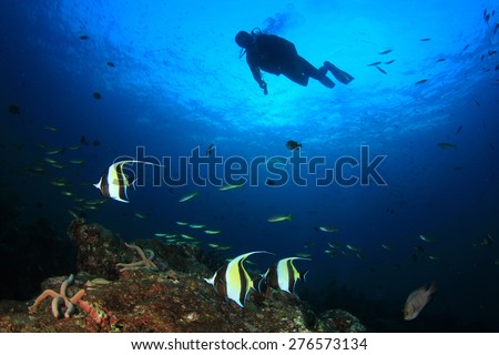 Scuba diver, coral reef, fish
