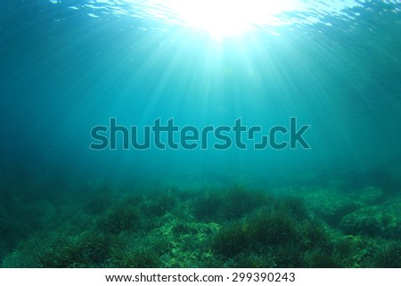 Underwater Ocean background