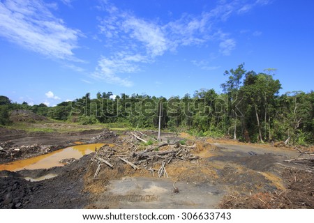 Deforestation environmental damage destruction of rain forest