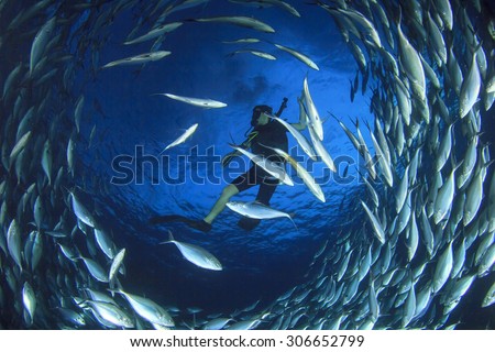 Scuba diver surrounded by fish