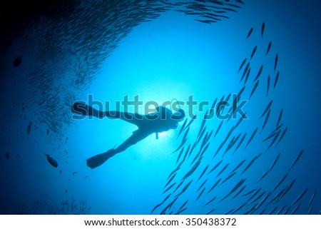 Scuba diver diving in ocean silhouette