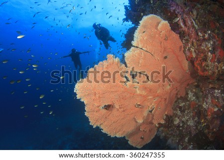 Scuba diving on coral reef with tropical fish in Thailand
