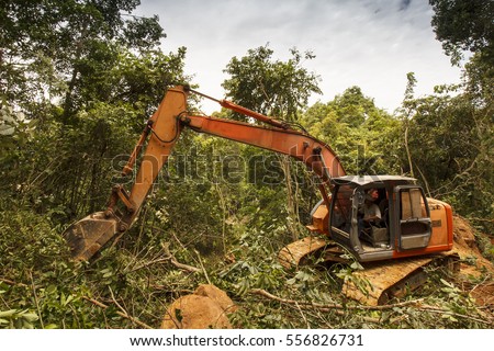 Deforestation of rainforest. Environmental problem. Borneo, Malaysia