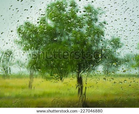 Silhouette of green tree through wet window on a rainy day