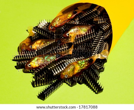 Fish and Chips - Rubber or plastic fishing lures and computer chips in a yellow paper cone with a green background.