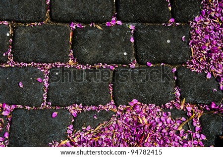 Pink or purple dried flower petals scattered over black bricks, suitable for a desktop wallpaper