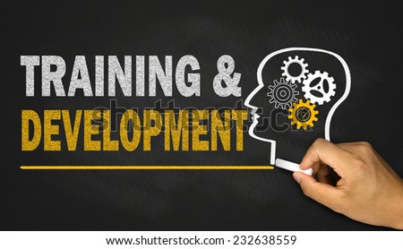 training and development concept on blackboard