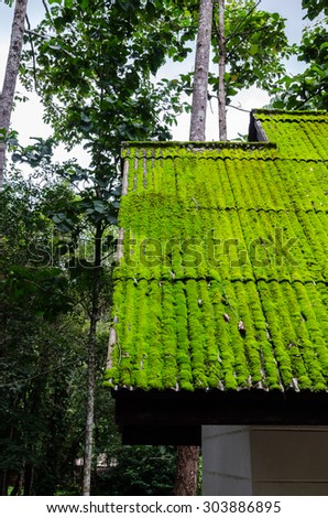 Moss roof in green season