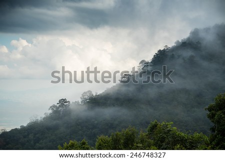 Mist on top of Angkhang, Chiangmai (North of Thailand) / Mist on top of mountain