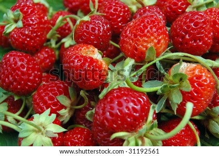 Strawberries wallpaper . strawberry wallpaper. Strawberries wallpaper .